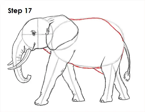 Как поэтапно нарисовать слона карандашом поэтапно