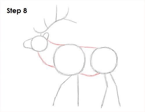 Elk Drawing 8 Draw Elk 8