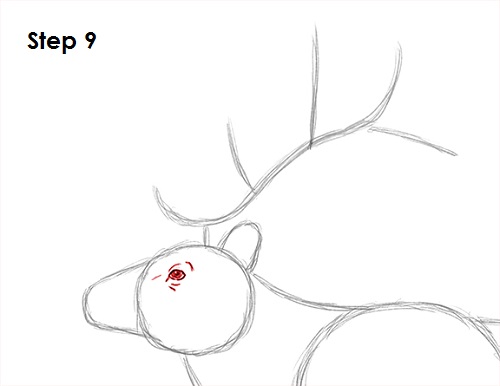 Elk Drawing 9 Draw Elk 9
