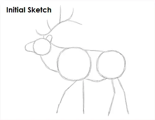 Elk Drawing Sketch Draw Elk Sketch