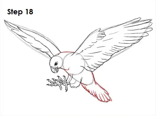How To Draw A Falcon