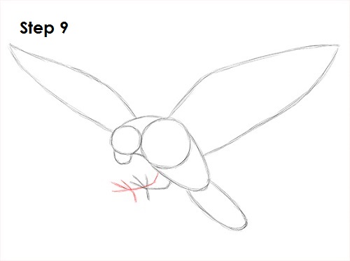 How to Draw a Falcon