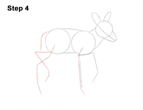 How to Draw a Fawn Baby Deer Walking Side View 4