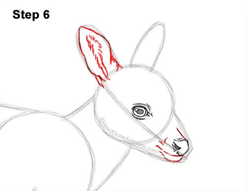 How to Draw a Fawn Baby Deer Walking Side View 6
