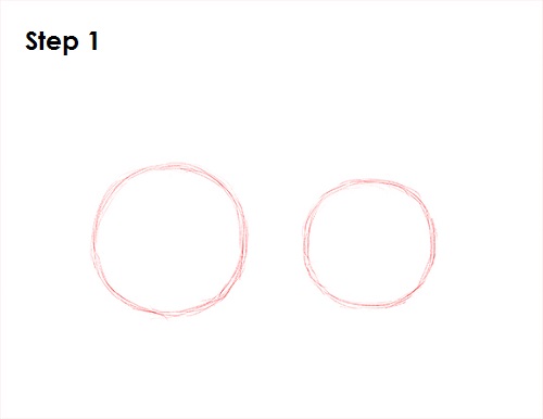 Ferret Drawing 1 Draw Ferret 1