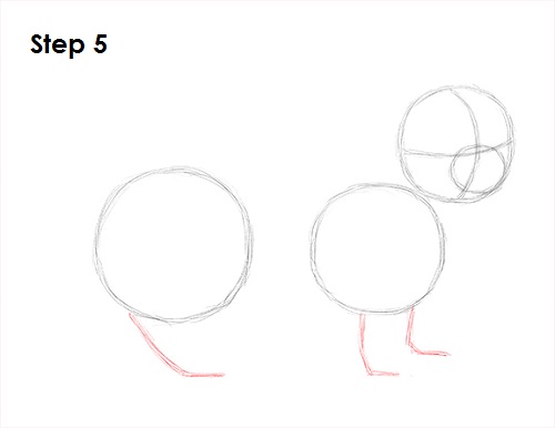 Ferret Drawing 5 Draw Ferret 5