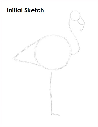Draw Flamingo Bird Sketch