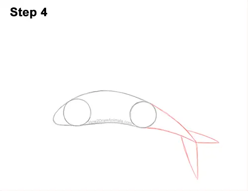 How to Draw a Flying Fish Cod Wings 4