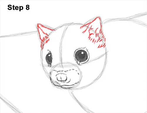 How to Draw a Southern Flying Squirrel Gliding 8