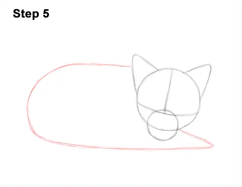 How to Draw Cute Red Fox Sleeping Asleep 5