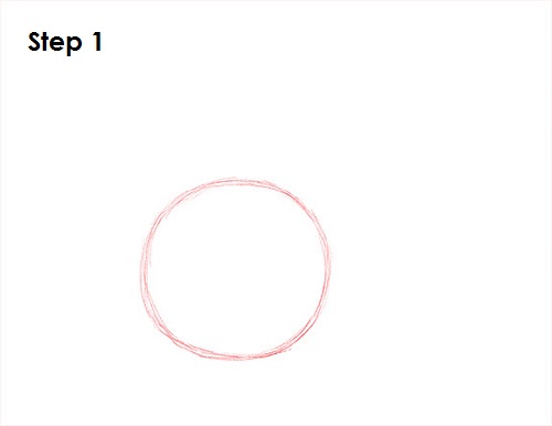 Frog Drawing 1 Draw Frog 1