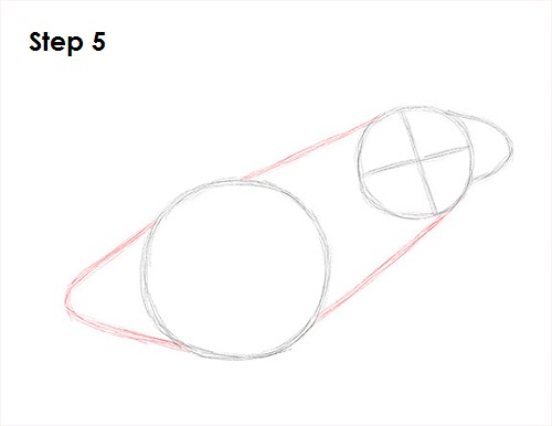 Frog Drawing 5 Draw Frog 5