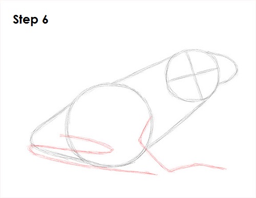 Frog Drawing 6 Draw Frog 6