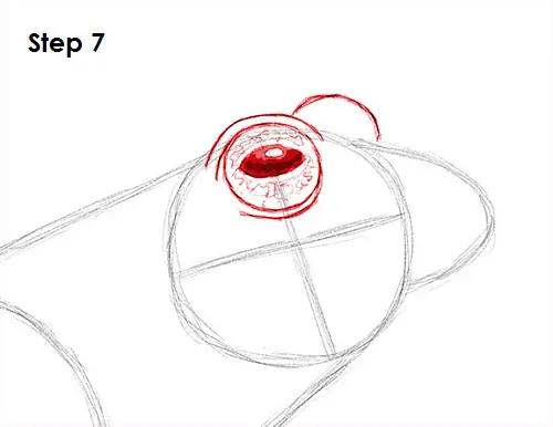Frog Drawing 7 Draw Frog 7