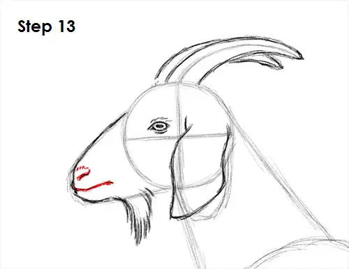 Draw Goat 13