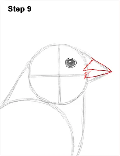 Draw American Goldfinch Bird 9