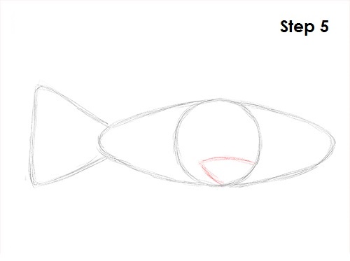 Goldfish 5 Draw Goldfish 5