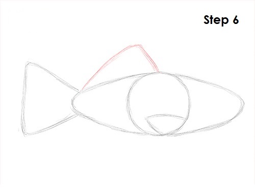 Goldfish 6 Draw Goldfish 6