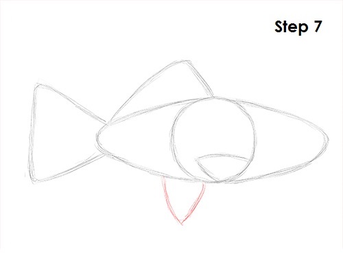 Goldfish 7 Draw Goldfish 7