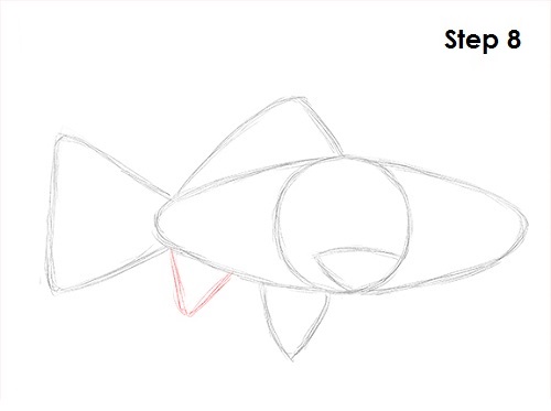 Goldfish 8 Draw Goldfish 8