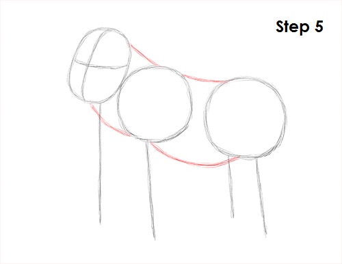 Gorilla Drawing 5 Draw Gorilla 5