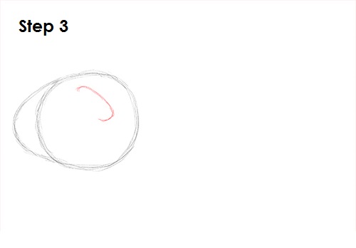 Guinea Pig 3 Draw Guinea Pig 3