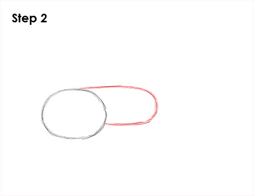 Guppy Fish Drawing 2 Draw Guppy Fish 2