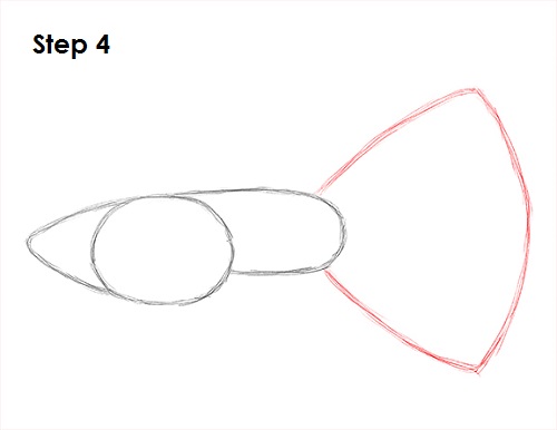 Guppy Fish Drawing 4 Draw Guppy Fish 4