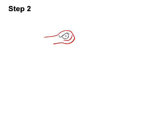 How to Draw a Cool Cartoon Hammerhead Shark 2