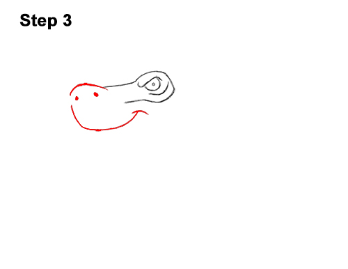 How to Draw a Cool Cartoon Hammerhead Shark 3