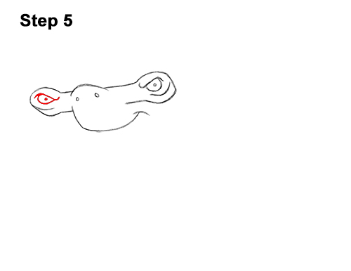 How to Draw a Cool Cartoon Hammerhead Shark 5
