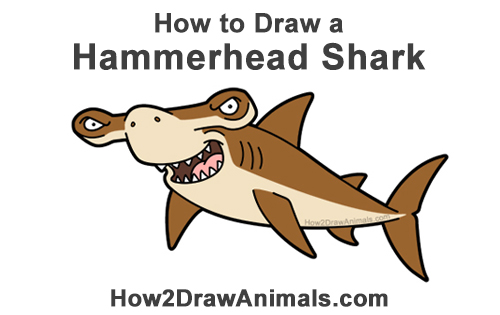 How to Draw a Cool Cartoon Hammerhead Shark