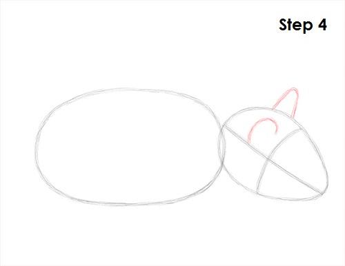 Hamster Drawing 4 Draw Hamster 4