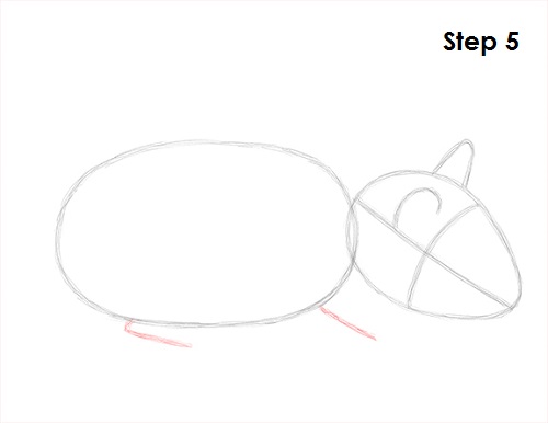 Hamster Drawing 5 Draw Hamster 5