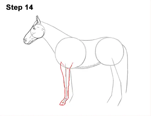 How to Draw a Brown Horse Color Side View 14