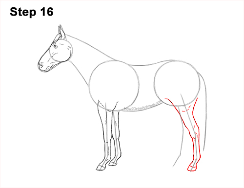 How to Draw a Brown Horse Color Side View 16