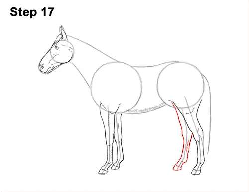 How to Draw a Brown Horse Color Side View 17