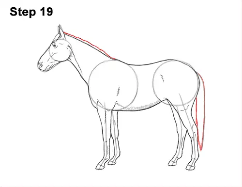 How to Draw a Brown Horse Color Side View 19