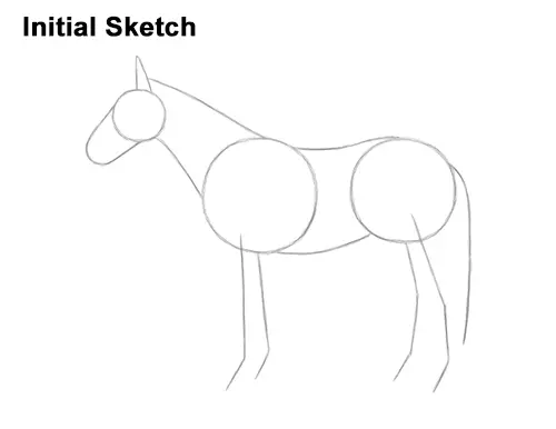 How to Draw a Brown Horse Color Side View Guides Lines