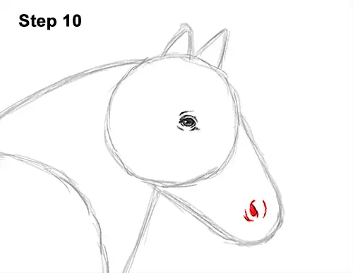How to Draw a Horse Gypsy Vanner Irish Cob 10