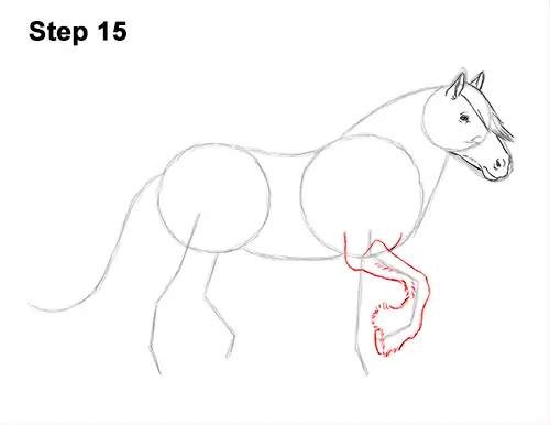 How to Draw a Horse Gypsy Vanner Irish Cob 15