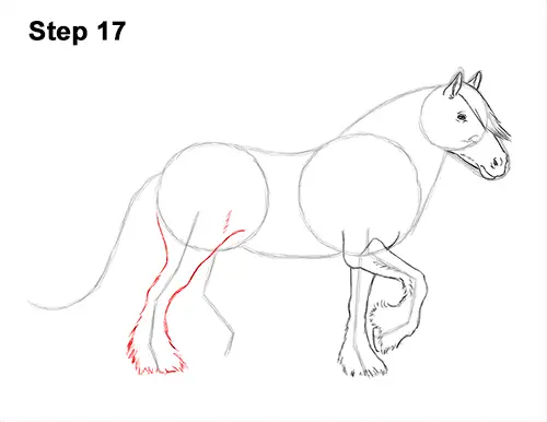 How to Draw a Horse Gypsy Vanner Irish Cob 17