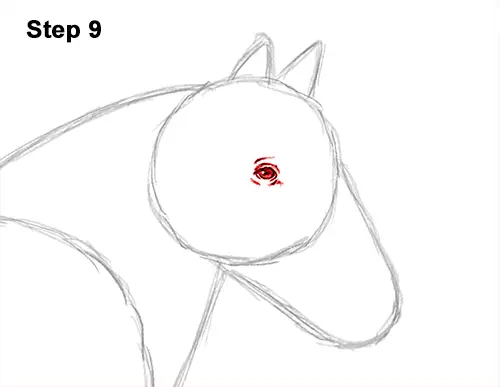 How to Draw a Horse Gypsy Vanner Irish Cob 9