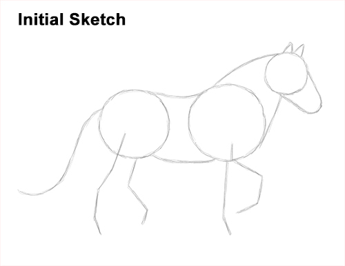 How to Draw a Horse Gypsy Vanner Irish Cob Guide Lines