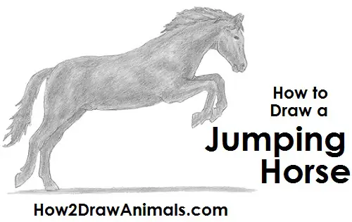 Draw a Horse Jumping