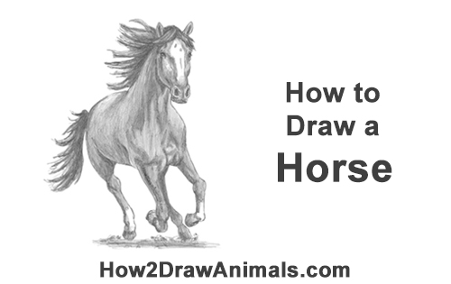 How to Draw Horse Running Front Forward
