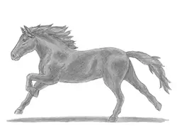 How to Draw a Horse Running