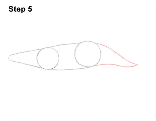 How to Draw Humpback Whale Side 5
