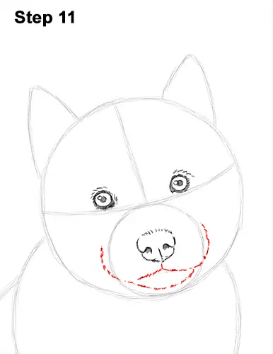 Draw Husky Puppy Dog 11