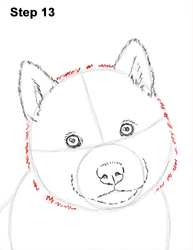 Draw Husky Puppy Dog 13